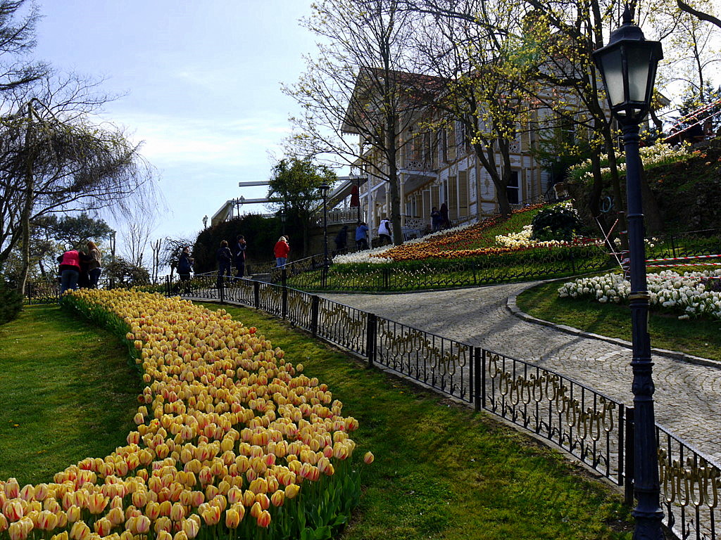 The tulip time in Istanbul